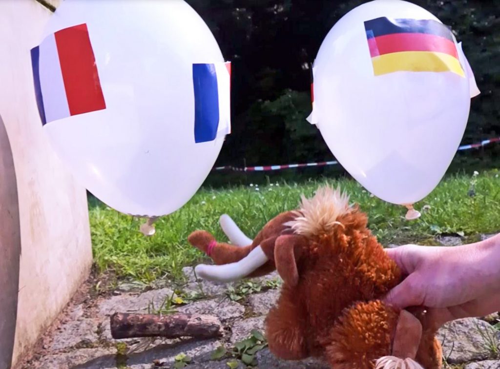 Die Entscheidung: Tinka geht mit ihren Stoßzähnen auf den Franzosen-Ballon los