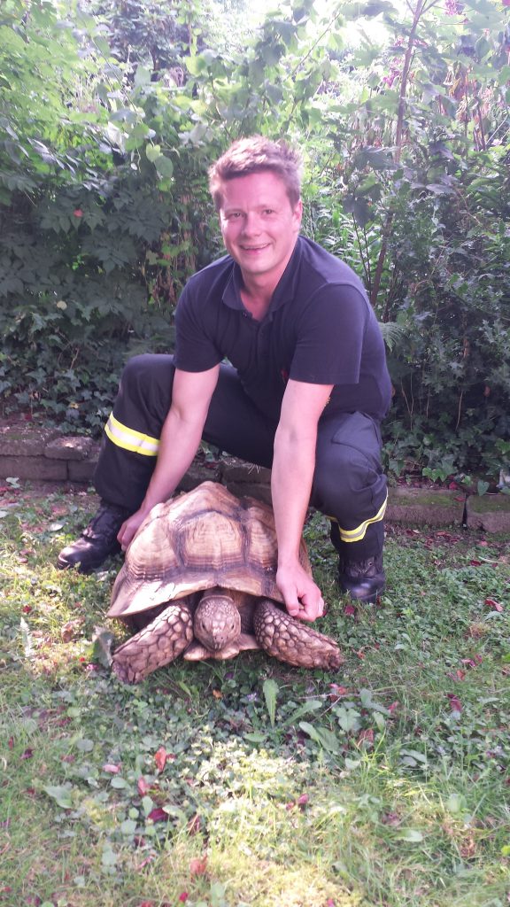 fw-d-feuerwehr-duesseldorf-faengt-riesenschildkroete-ein