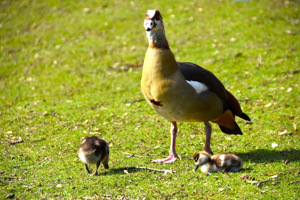 Familienausflug