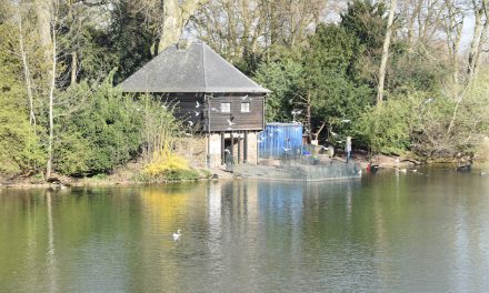 Schwanenhaus im Hofgarten wird saniert