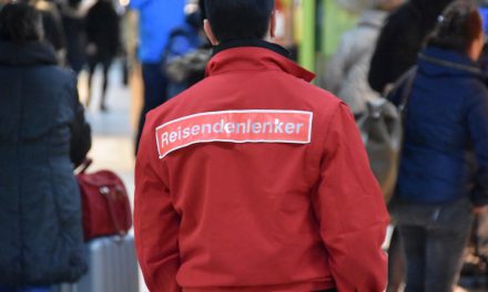 Reisendenlenker – neue Spezies am Hauptbahnhof