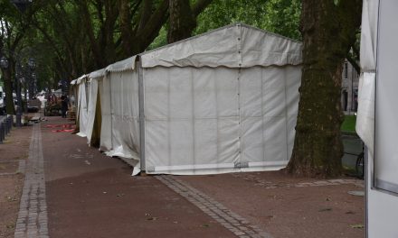 Radweg auf der Kö gesperrt für Bücherbummel