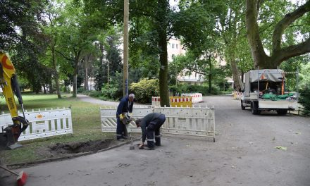 Es werde Licht im Hofgarten…