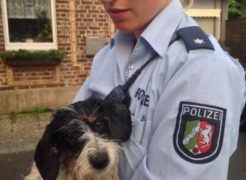 Polizisten retten vermissten Hund — Lucka und Herrchen wieder vereint