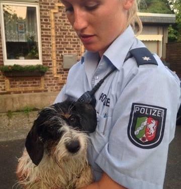 Polizisten retten vermissten Hund — Lucka und Herrchen wieder vereint
