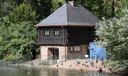 Schwanenhaus im Hofgarten fertiggestellt