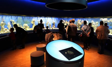 Das Aquazoo Löbbecke Museum ist wieder geöffnet