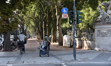 Radfahren verboten !