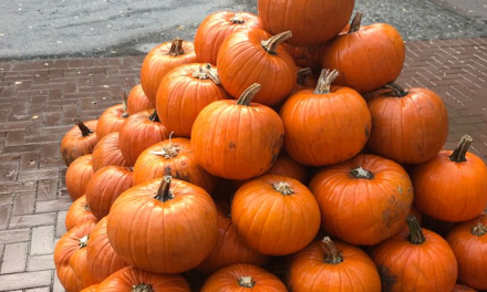 Halloween im Kurhaus im Volksgarten