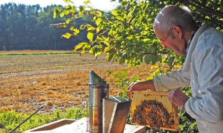 Glyphosat – booh geht’s noch?