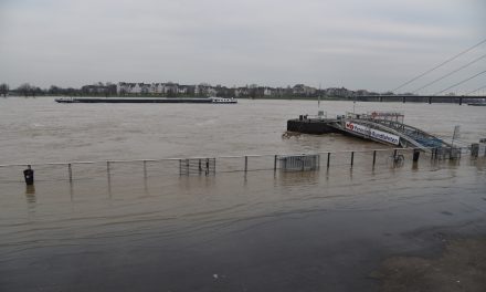 Rhein-Hochwasser in Düsseldorf: Stadtentwässerungsbetrieb leitet Schutzmaßnahmen ein