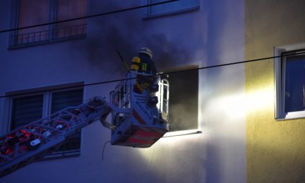 Brand in einer Küche verursacht hohen Sachschaden