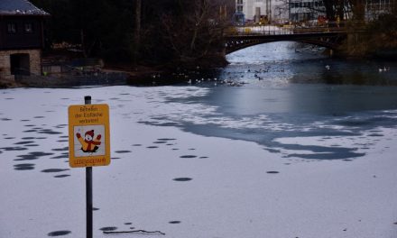 Väterchen Frost läßt Teiche zufrieren