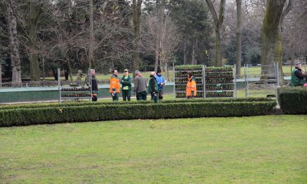 Für den Frühling: Düsseldorf putzt sich raus