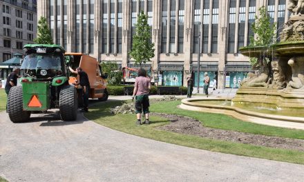 Erstbepflanzug am Corneliusplatz wurde entfernt