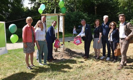 Neue Bäume für den Elbroich-Park