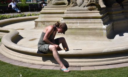 Schalenbrunnen durch Reinigung beschädigt