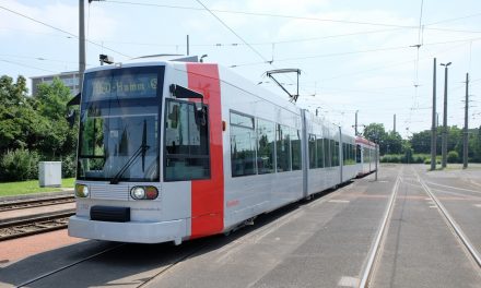 Frischzellenkur für die Straßenbahn des Typs NF6