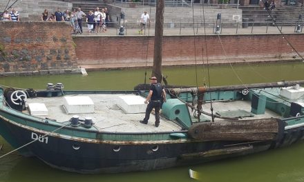 Gänsefamilie auf historischem Schiff gefangen