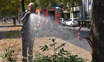 Feuerwehr unterstützt Gartenamt
