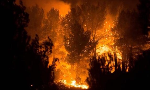 Erhöhte Waldbrandgefahr im Stadtwald