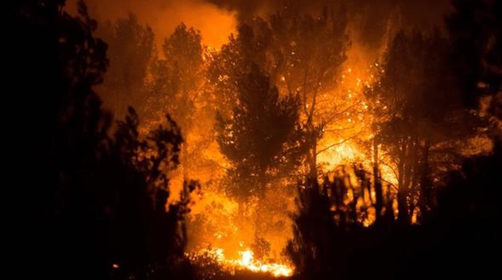 Erhöhte Waldbrandgefahr im Stadtwald