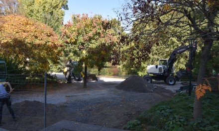 Wegesanierung im Hofgarten wird fortgesetzt