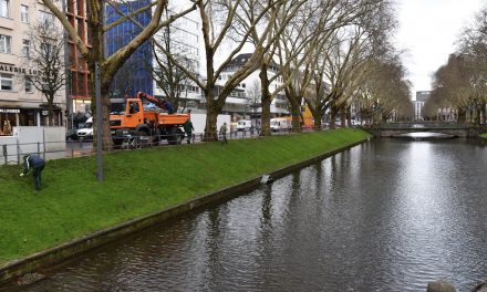 Kö Graben — zwei Kleinlaster voll Dreck