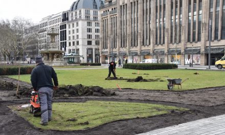 Frühlingsbepflanzung für den Corneliusplatz