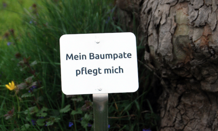 “Mein Baumpate pflegt mich”