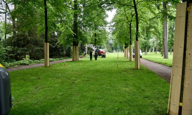 Hofgartenwege werden nach alten Plänen wieder angelegt
