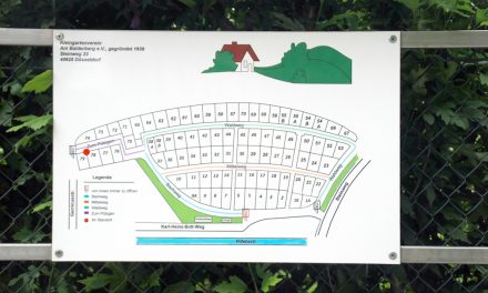 Rettungspläne für Düsseldorfs Kleingartenanlagen