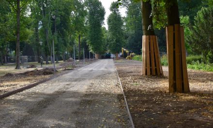 Wegesanierung im Hofgarten wird fortgesetzt