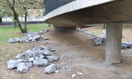 Steine unter Rheinkniebrück wurden von Unbekannten entfernt