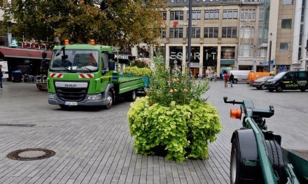 Sommerbepflanzung macht der Winterbepflanzung Platz