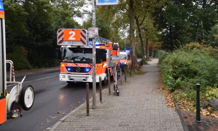 Rauchmelder rettete 87-jähriger Frau das Leben