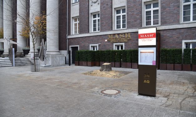 Baumbetrug — so verarscht uns die Stadt