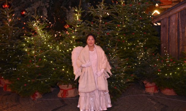 Weihnachtsmarkt in Düsseldorf eröffnet
