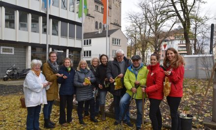 „Urban Gardening“: Das neue Projekt von Pro Düsseldorf