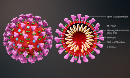Landesregierung beschließt weitere Maßnahmen zur Eindämmung der Corona-Virus-Pandemie
