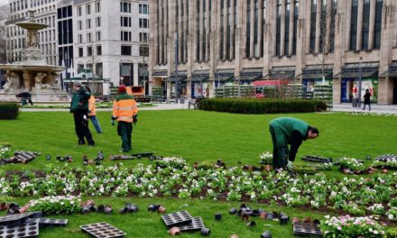 Frühlingserwachen in Düsseldorfs Grünanlagen