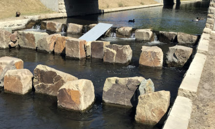 Entenbrett an Fischtreppe im Hofgarten