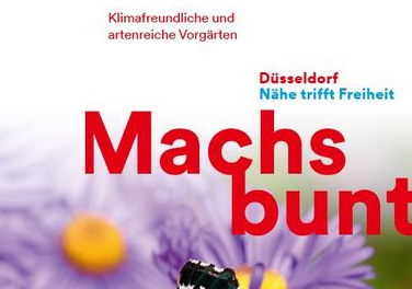 “Mach’s bunt”: Städtische Kampagne für die Begrünung von Vorgärten