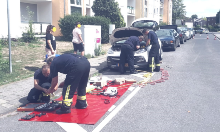 Feuerwehr befreit Katze aus Motorraum