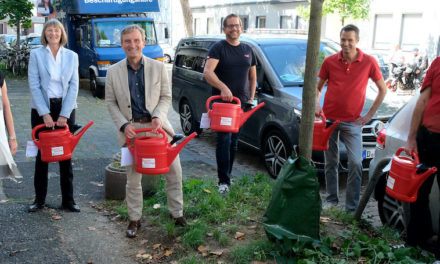 Anhaltende Trockenheit: Stadt gibt kostenlose Gießkannen und Wassersäcke aus