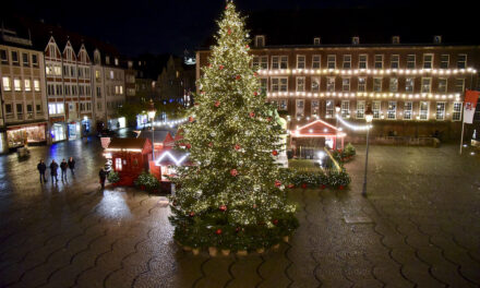 Tanne vor dem Rathaus verbreitet vorweihnachtliche Stimmung