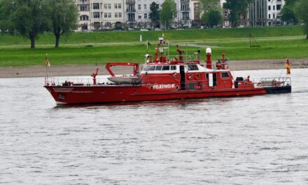 Männliche Person springt vor den Augen der Polizei in den Rhein