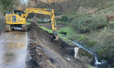 Naturnaher Ausbau am Pillebach schreitet voran