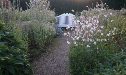 Blick über den Gartenzaun bei der “Offenen Gartenpforte”