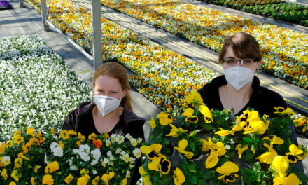 Auftakt zur Frühlingsbepflanzung: Fast 230.000 neue Blumen blühen bald in der Stadt